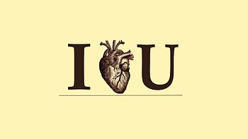 Love, Heart, Confession, Organ HD wallpaper