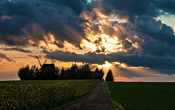 Splendor, rays, sunlight, sunbeams, peaceful, houses, sunrise, beauty, trees, amazing, road, sunset, path way, windmill, path, mill, house, landscape, beautiful, tree, sunrays, field, view, clouds, nature, sky, flowers, lovely HD wallpaper