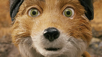 Fantastic Mr. Fox, Aesthetic, Tumblr posts HD wallpaper