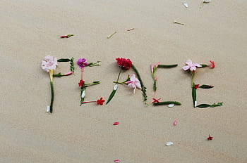 The word 'Peace' crafted from flowers placed on a sandy beach, conveying tranquility. HD wallpaper