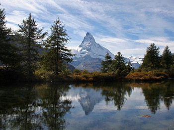 lake, tree HD wallpaper