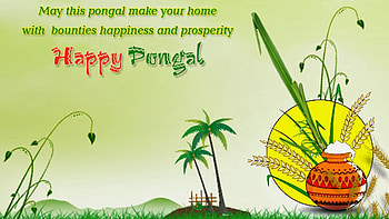 May This Pongal Make Your Home With Bounties Happiness And Prosperity Happy Pongal Pongal HD wallpaper