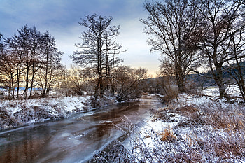 River, Nature, Tree, Winter HD wallpaper