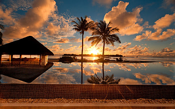 Sunset at Palm Beach, sea, reflection, palm, clouds, trees, nature, sunset, beach HD wallpaper