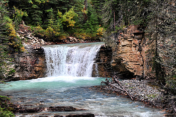 Nature, Trees, Bush, Rocks, Waterfall, Flow, Stream HD wallpaper