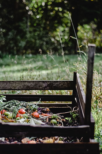 Wooden compost bin in an Estonian garden with organic waste and vegetables. HD phone wallpaper
