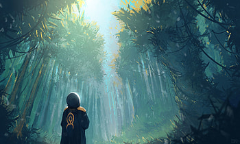 Forest, Loneliness, Art, Trees, Human, Person HD wallpaper