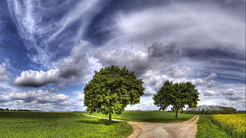Landscape, Nature HD wallpaper