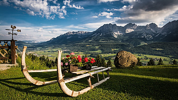 Tyrol, Austria, alps, sleigh, clouds, landscape, trees, flowers, sky HD wallpaper