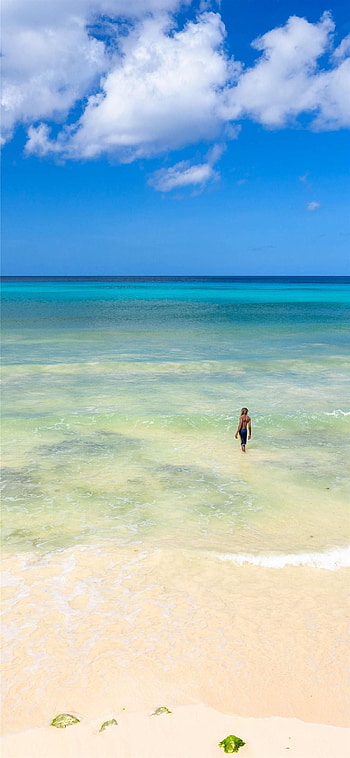 Trinidad and Tobago, Caribbean paradise, Tropical beaches, Island vibes HD phone wallpaper