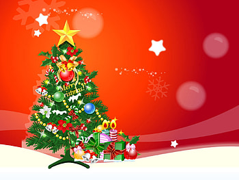 Holidays, New Year, Fir-Trees, Christmas, Xmas HD wallpaper