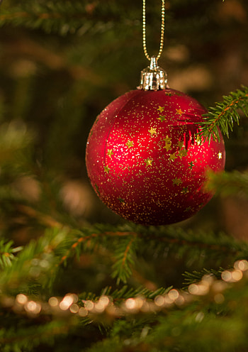 Holidays, New Year, Christmas, Ball, Christmas Tree, Decoration HD phone wallpaper