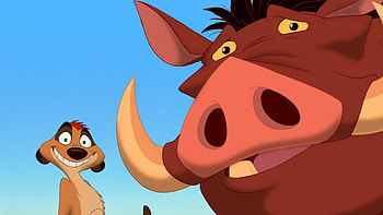 Timon and Pumbaa, meerkat, lion king, warthog HD wallpaper