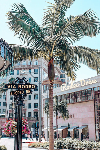 Beverly Hills, Los Angeles ideas, Vintage vibes, Historical charm HD phone wallpaper