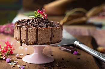 Cake 26, Vibrant colors, Whipped cream, Edible art HD wallpaper