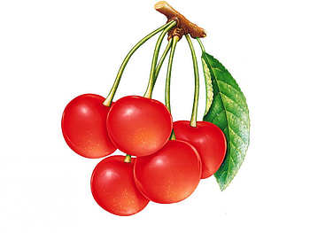 Cherries, fruit HD wallpaper