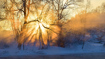 Morning Sunrise, fog, snow, river, winter, frost, trees HD wallpaper