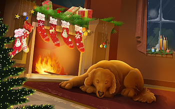 Holidays, Dogs, New Year, Christmas, Xmas HD wallpaper