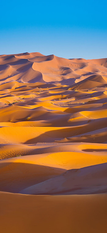 Desert wonderland, Sahara's magic, Serene sand dunes, Nature's masterpiece HD phone wallpaper