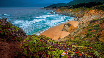 Big Sur, California, pacific, fall, coast, landscape, trees, sky, usa, ocean, flowers HD wallpaper