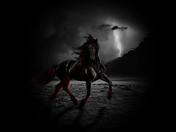 Horses, Animals, Fantasy HD wallpaper