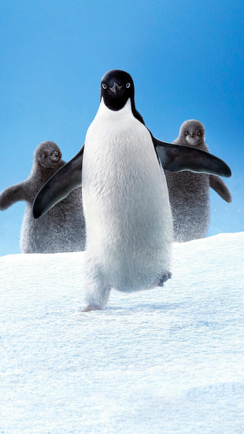 Penguins (2022) movie HD phone wallpaper