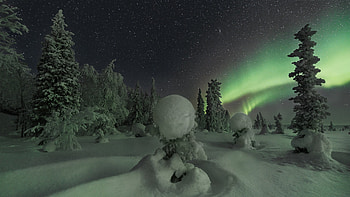 Frozen Snow Covered Trees Bushes Under Starry Sky Aurora Borealis Nature HD wallpaper