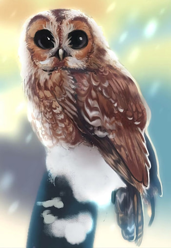 Art, Owl, Bird, Sight, Opinion HD phone wallpaper