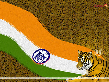 flag, patriotic, tiger, wave HD wallpaper