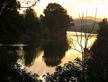 Dusk reflections, reflection, trees, dusk, water, lake, solitude HD wallpaper