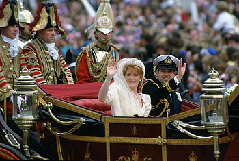 Sarah Ferguson, Queen's fury, Hen night HD wallpaper