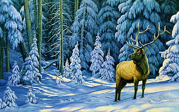 reindeer standing in north America winter forest graph HD wallpaper