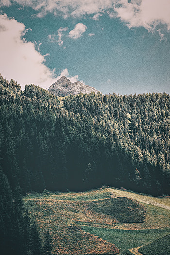 Nature, Trees, Mountains, Italy, Commune, Preoi, Of Italy, Predoi HD phone wallpaper