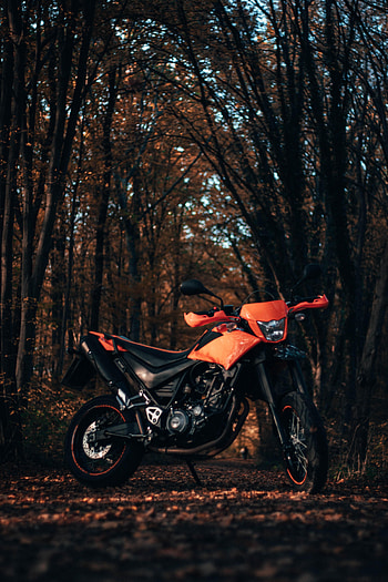 Motorcycles, Side View, Motorcycle, Bike HD phone wallpaper