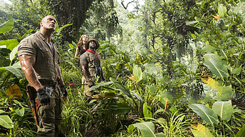 Welcome to the Jungle, 2017 movie, Full HD wallpaper
