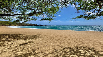 Four Seasons Lanai, Hawaii, sea, island, sand, trees, landscape, sky, usa HD wallpaper