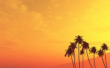 Palm trees, , Air HD wallpaper