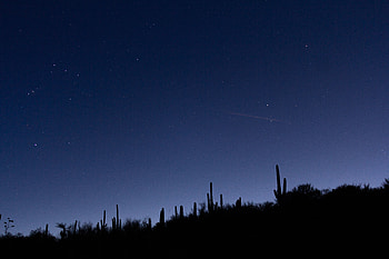 Cactuses, Night, Dark, Silhouettes, Starry Sky, Slope HD wallpaper