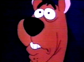 scooby doo say what!?!, scooby, scared HD wallpaper