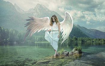 Angel, wings, girl, fantasy HD wallpaper