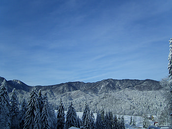 today, winter, trees, sun, mountain HD wallpaper