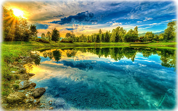 Rays of light, rays, reflection, light, clouds, trees, nature, lake HD wallpaper