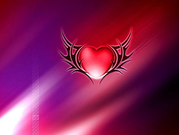 Heart, hearts, love HD wallpaper