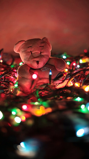 Teddy Bear Ke, Colorful Lights HD phone wallpaper