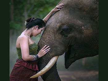 Close, friends, love, elephant, woman HD wallpaper