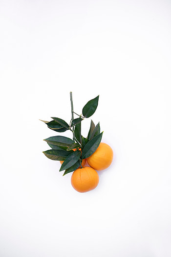 Food, Tangerines, Minimalism, Branch, Citrus HD phone wallpaper
