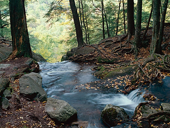Landscape, Rivers HD wallpaper