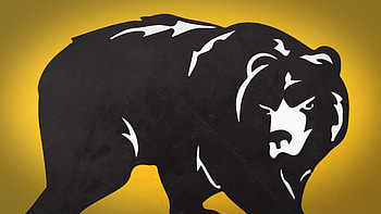 Vector, Bear, , Drawing, Animal HD wallpaper