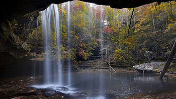 Landscapes nature forests national, Alabama , natural beauty, Alabama travels HD wallpaper