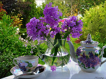 still life, flowers, nature, beautiful HD wallpaper